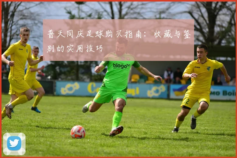普天同庆足球购买指南：收藏与鉴别的实用技巧