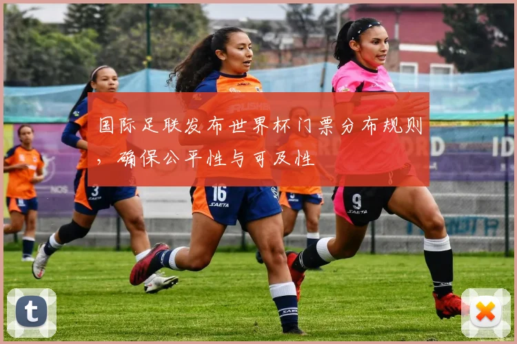 国际足联发布世界杯门票分布规则，确保公平性与可及性