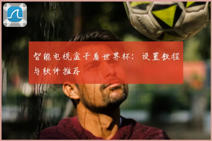 智能电视盒子看世界杯：设置教程与软件推荐