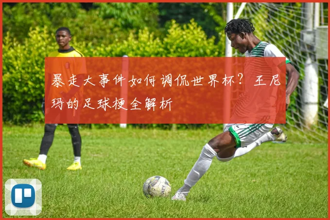 暴走大事件如何调侃世界杯？王尼玛的足球梗全解析