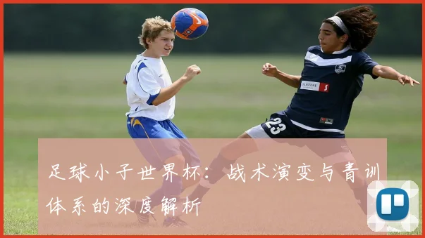 足球小子世界杯：战术演变与青训体系的深度解析