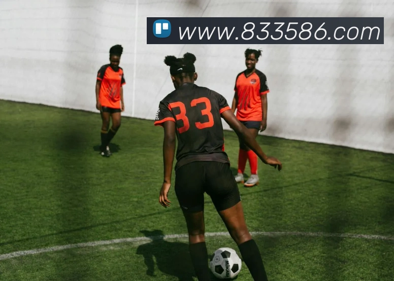 j9官方网站入口APP 封面图